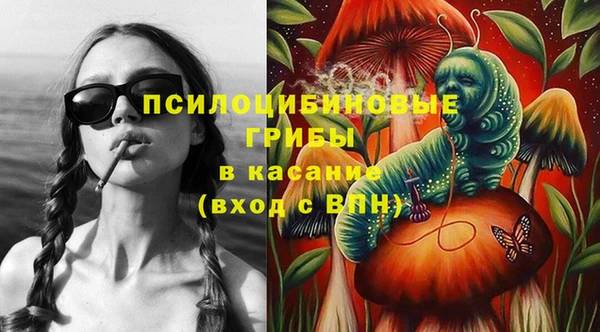 ешки Михайловск