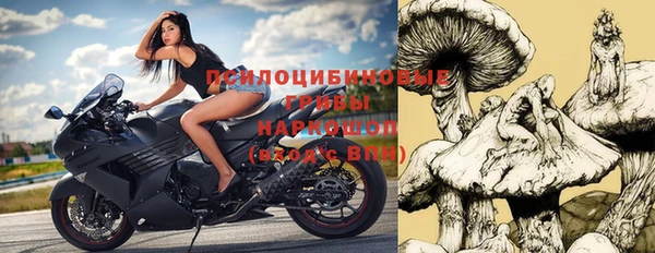 ешки Михайловск