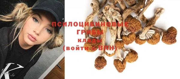 ешки Михайловск