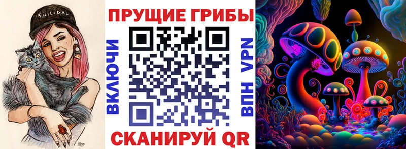 Галлюциногенные грибы GOLDEN TEACHER  Купить  Пыть-Ях 